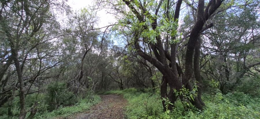 0 Bedroom Property for Sale in Koster North West